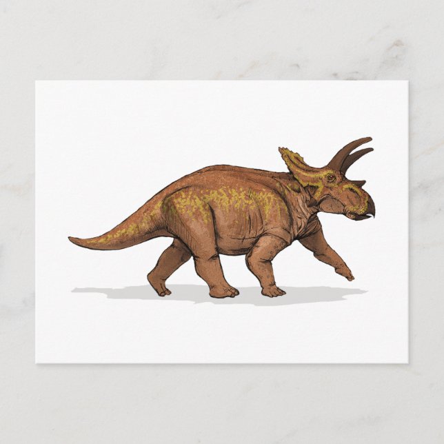 Anchiceratops Dinosaur Vykort (Framsida)