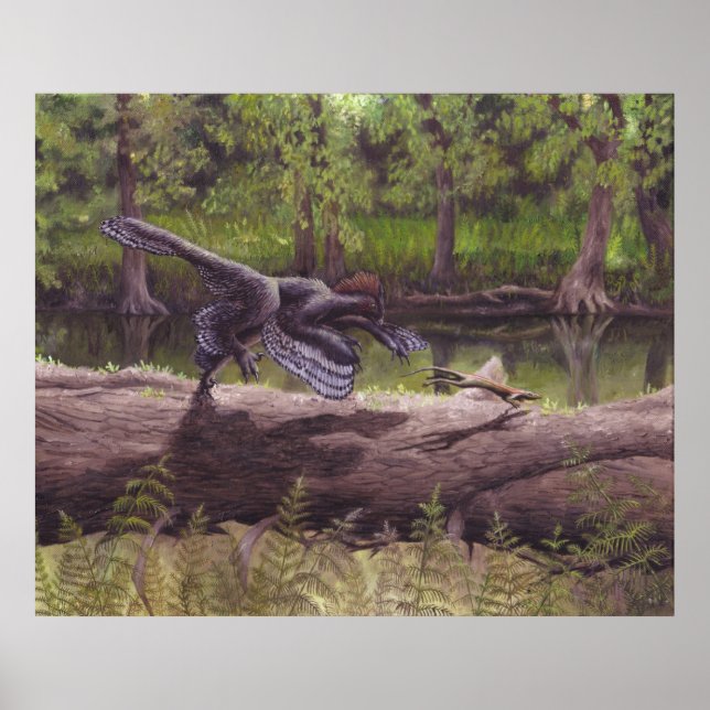 Anchiornis Print Poster (Framsidan)