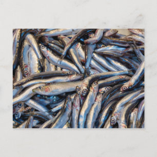 Anchovies Vykort