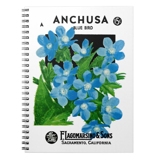 Anchusa Seed Packet Label Anteckningsbok Med Spiral (Framsidan)