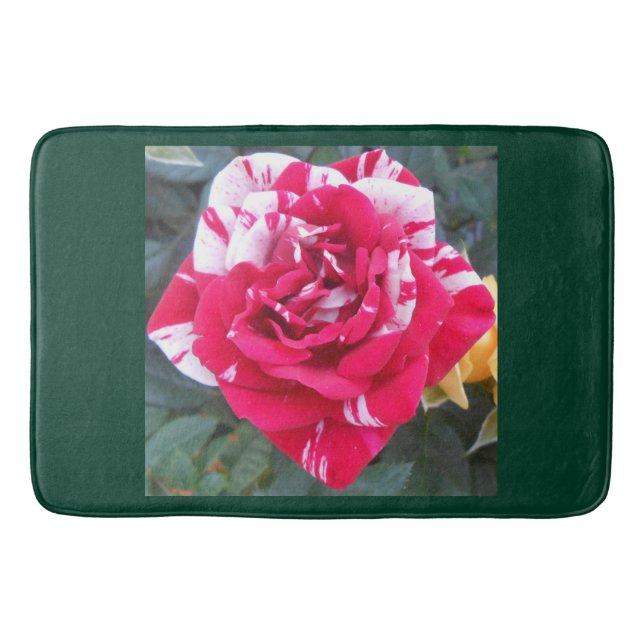 Ancia Badrumsmatta (Framsidan)