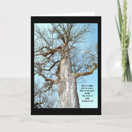 Ancient Ash Zechariah 4:6 Tack Kort