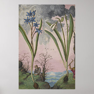 Ancient Botanical Art Snowdroppe Poster