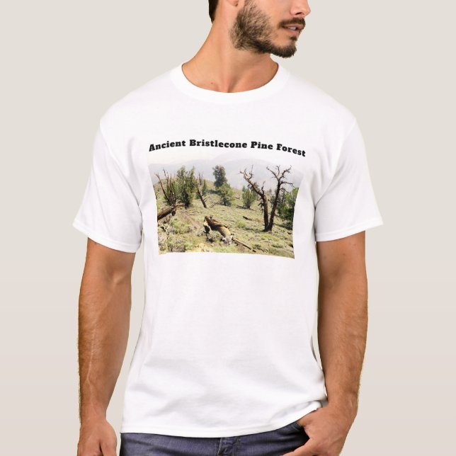 Ancient Bristlecone Gräs Forest California T Shirt (Framsida)