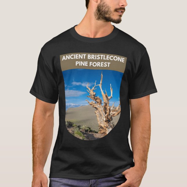Ancient Bristlecone Gräs Forest - Kalifornien T Shirt (Framsida)