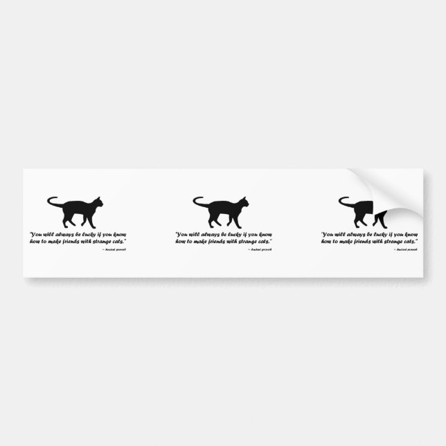 Ancient Cat Proverb Bildekal (Framsidan)