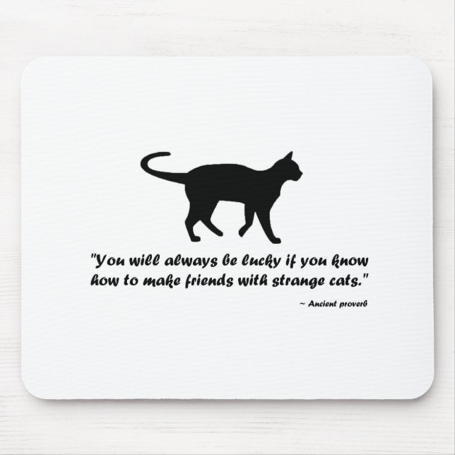 Ancient Cat Proverb Musmatta (Framsidan)
