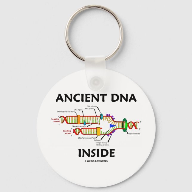 Ancient DNA Inside (DNA Replication Humor) Nyckelring (Framsida)