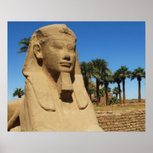 Ancient Egyptian sphinx statue luxor Egypt Poster