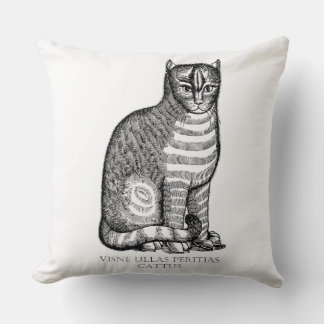 Ancient Fuzzy Cat Dekorativ kudde
