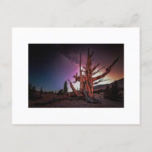 Ancient Gräs och Milky Way Helg Vykort