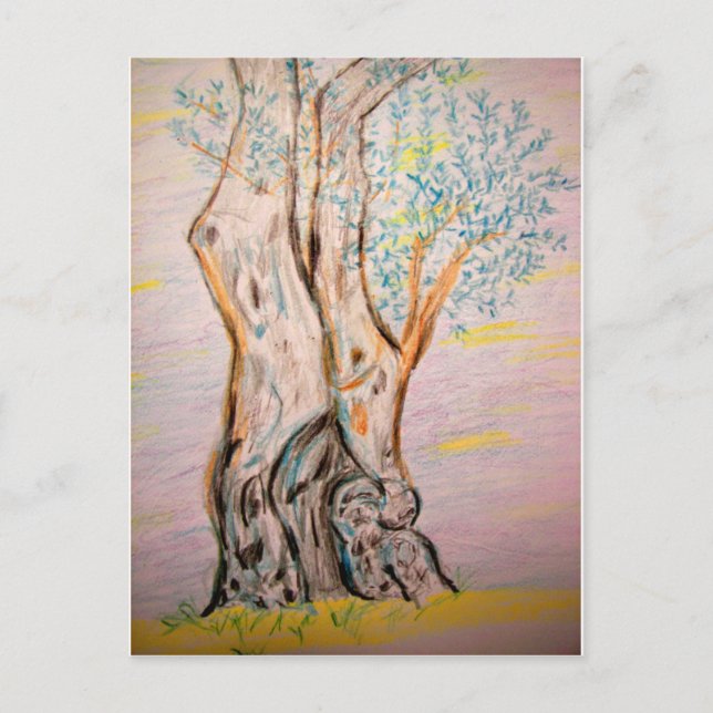 Ancient Olive Träd Vykort (Framsida)