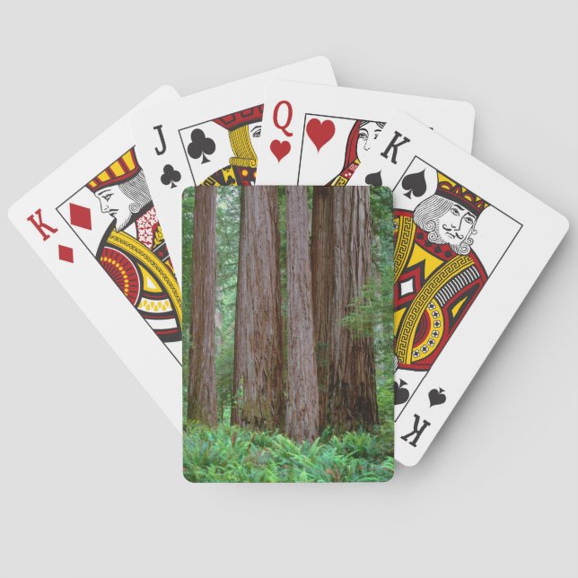 Ancient Redwood Tower Casinokort (Baksidan)