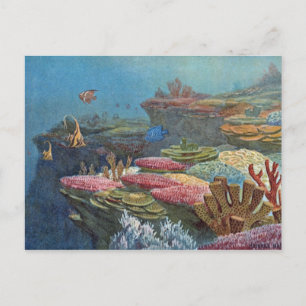 Ancient Sea Coral Antique Skriv ut Vykort