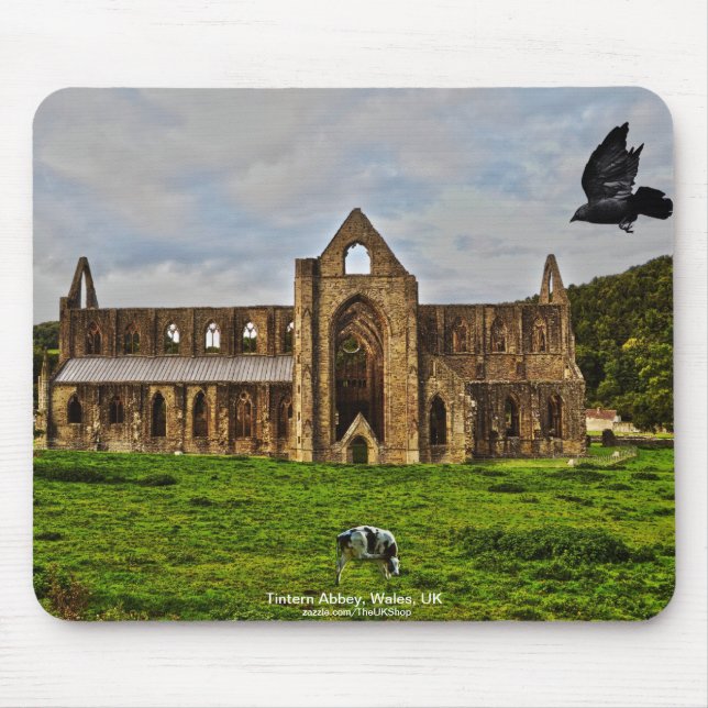 Ancient TAT Abbey, Cistercian Monastery, Wales Musmatta (Framsidan)