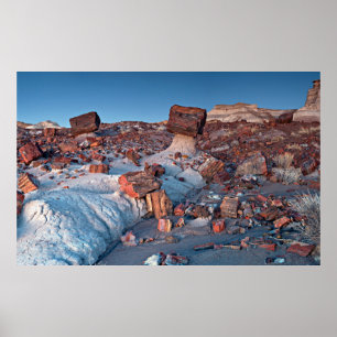 Ancient Träd i Petrified Forest Poster