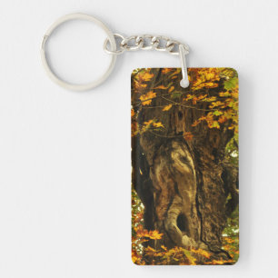 Ancient Träd Keychain