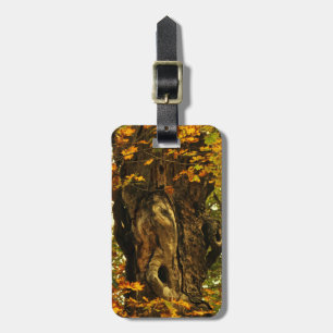 Ancient Träd Luggage Tag Bagagebricka