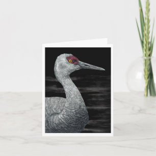 "Ancient Traveler" - Sandhill Crane Card Kort