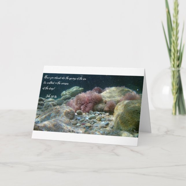 Ancient Vatten Card-jobb 38:16 Kort (Framsida)