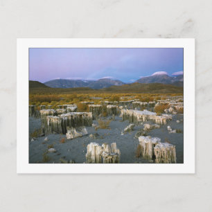 "Ancient Watermark" Vykort