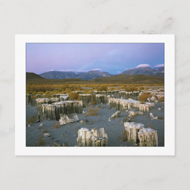 "Ancient Watermark" Vykort (Framsida)