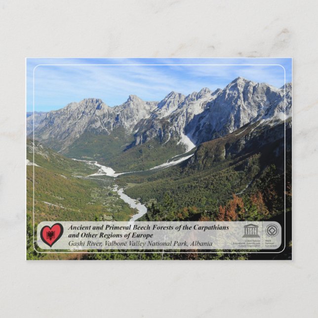 Anciska och Primeval Beech Forests - Gashi River Vykort (Framsida)