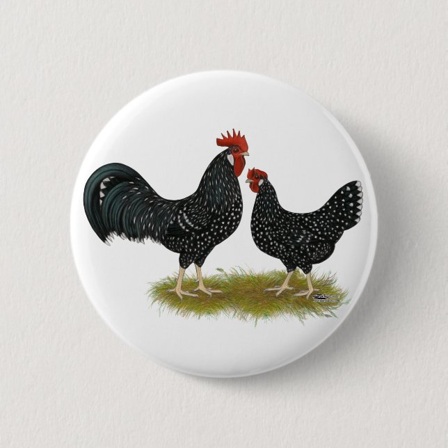 Ancona Chickens Knapp (Framsida)