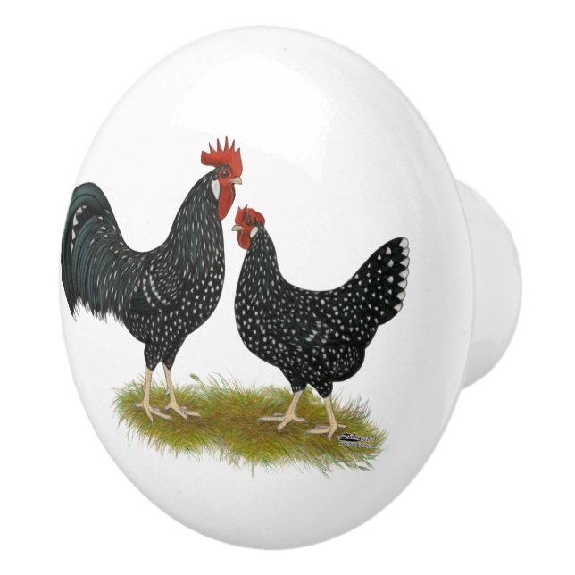 Ancona Chickens Knopp (Höger)