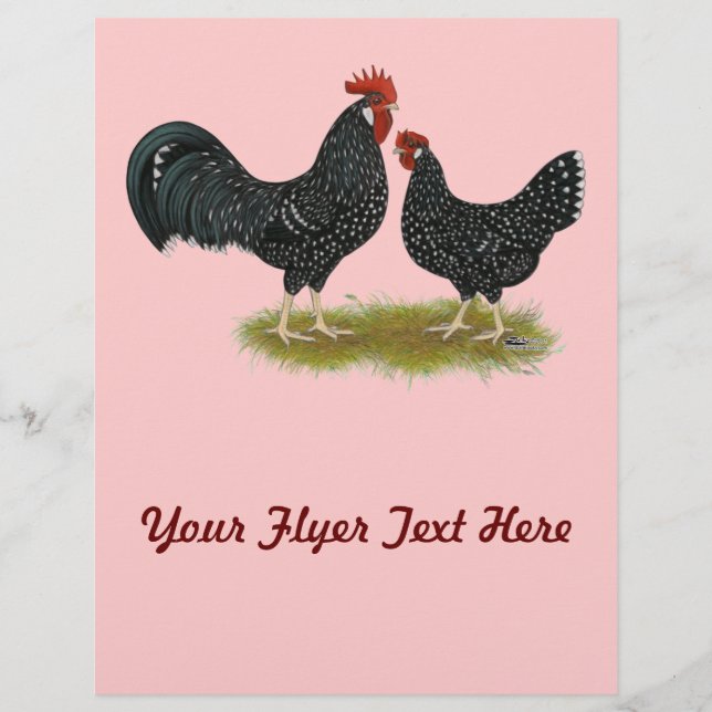 Ancona Chickens Reklamblad (Framsidan)