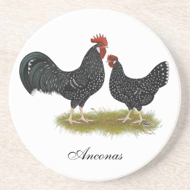 Ancona Chickens Underlägg (Framsidan)