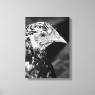 Ancona Hen Canvastryck