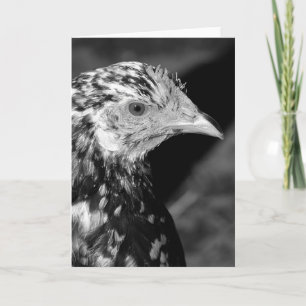 Ancona Hen Kort