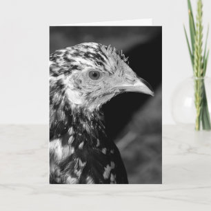 Ancona Hen Kort