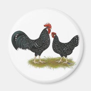 Ancona hönor magnet