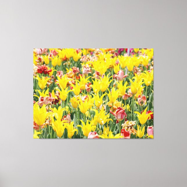 And Life Goes On  Canvastryck (Framsida)