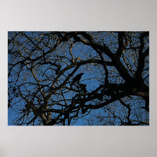 Ändå Poster (Framsidan)