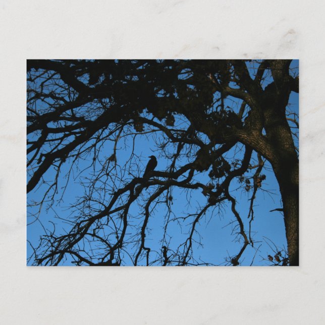 Ändå Vykort (Framsida)