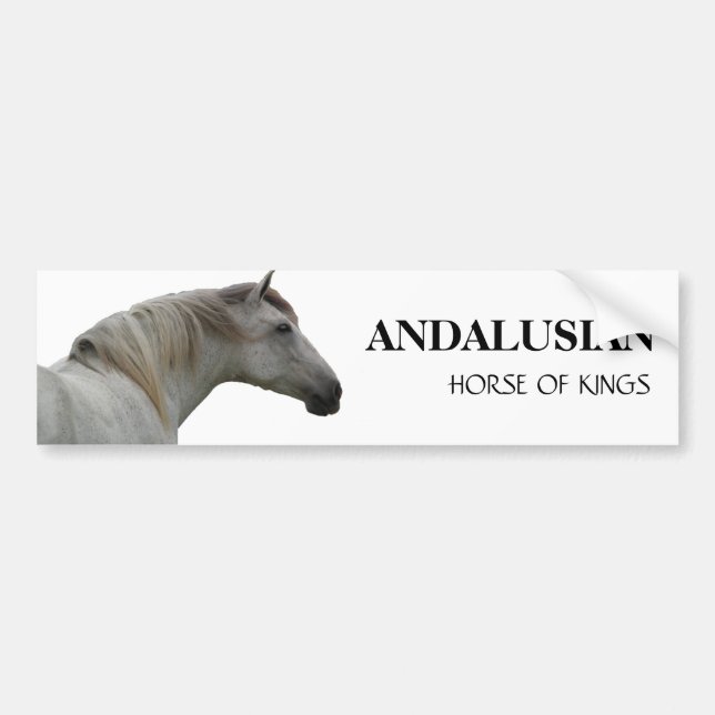 ANDALUSIAN HÄST 2 BILDEKAL (Framsidan)