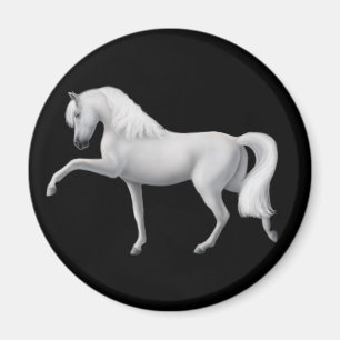 Andalusian hästmagnet för vit magnet