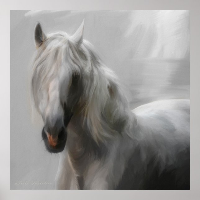 Andalusian horse poster (Framsidan)