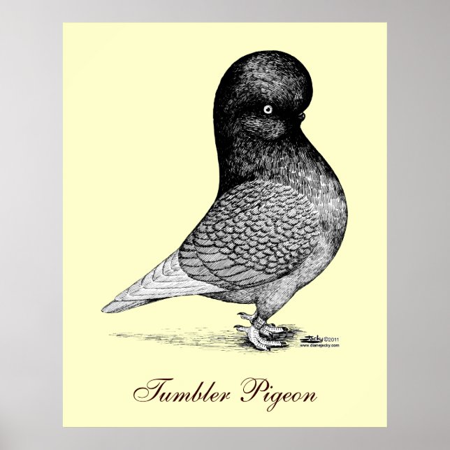 Andalusien Tumbler Poster (Framsidan)