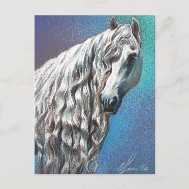 Andalusien Vykort (Framsida)