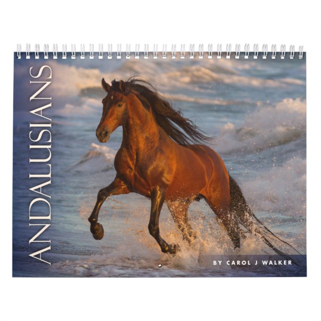 Andalusier efter Sång J Walker Horse Calendar Kalender (Omslag)