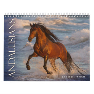 Andalusier efter Sång J Walker Horse Calendar Kalender