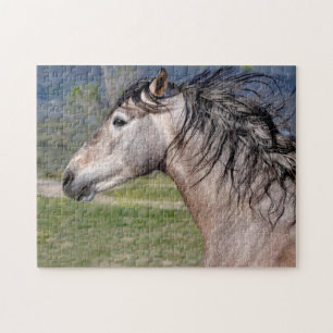 Andalusisk hingst pussel