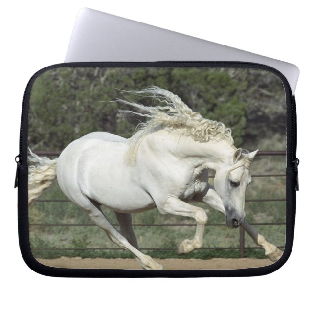 Andalusisk hingst springer, PR Laptop Sleeve (Framsidan)