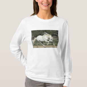 Andalusisk hingst springer, PR Tee Shirt