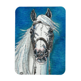 Andalusisk Horse Premium Flexi Magnet