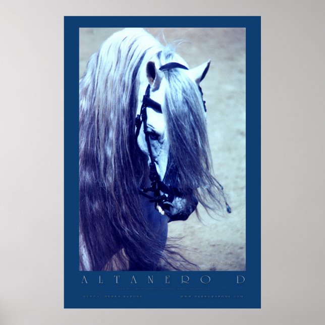 Andalusisk Poster (Framsidan)